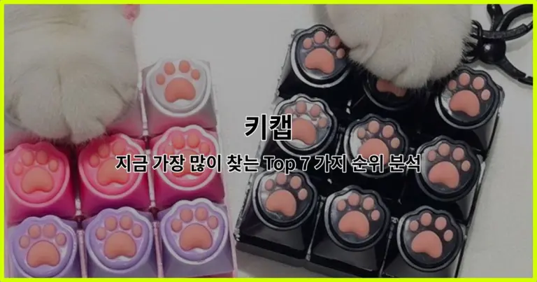키캡 지금 가장 많이 찾는 Top 7 가지 순위 분석