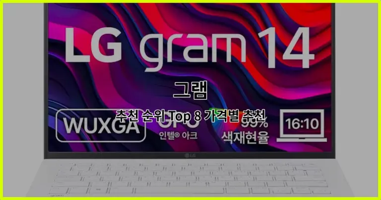그램 추천 순위 Top 8 가격별 추천